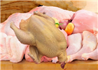 Мясо кур